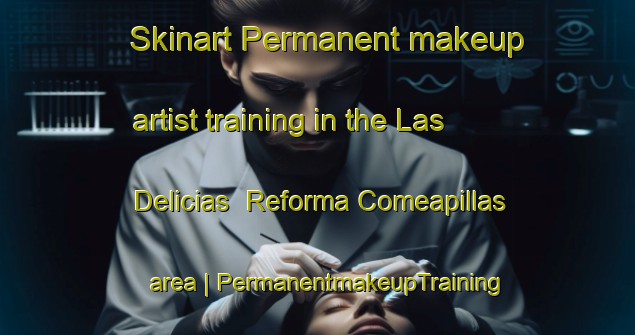 Skinart Permanent makeup artist training in the Las Delicias  Reforma Comeapillas area | PermanentmakeupTraining | PermanentmakeupClasses | SkinartTraining-Mexico